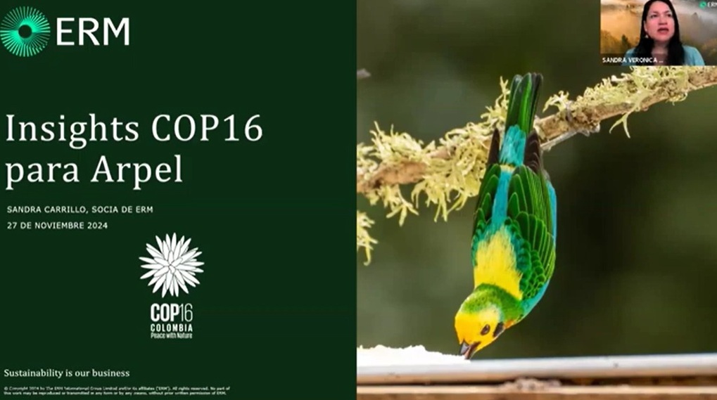 Webinar Insights COP16 Biodiversidad