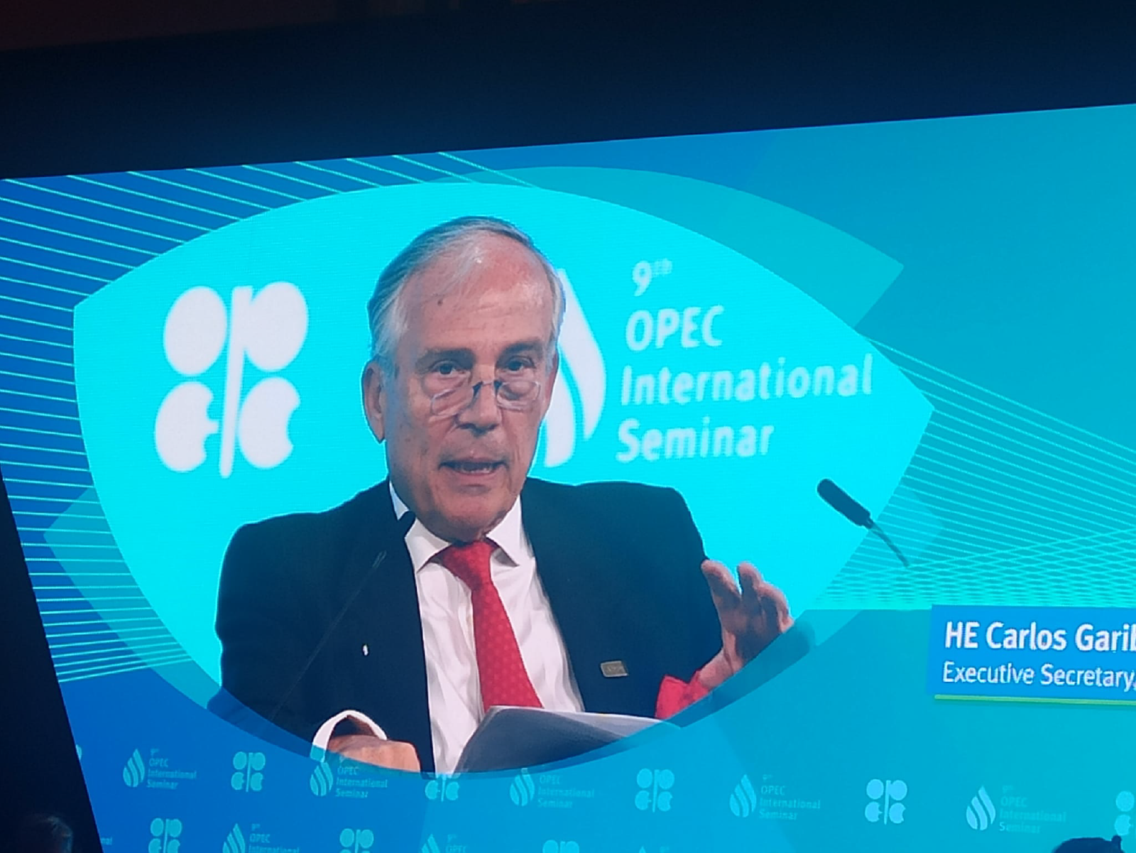 Arpel at the 9th OPEC Seminar in Vienna: Energy Needs and Priorities of Developing Countries
