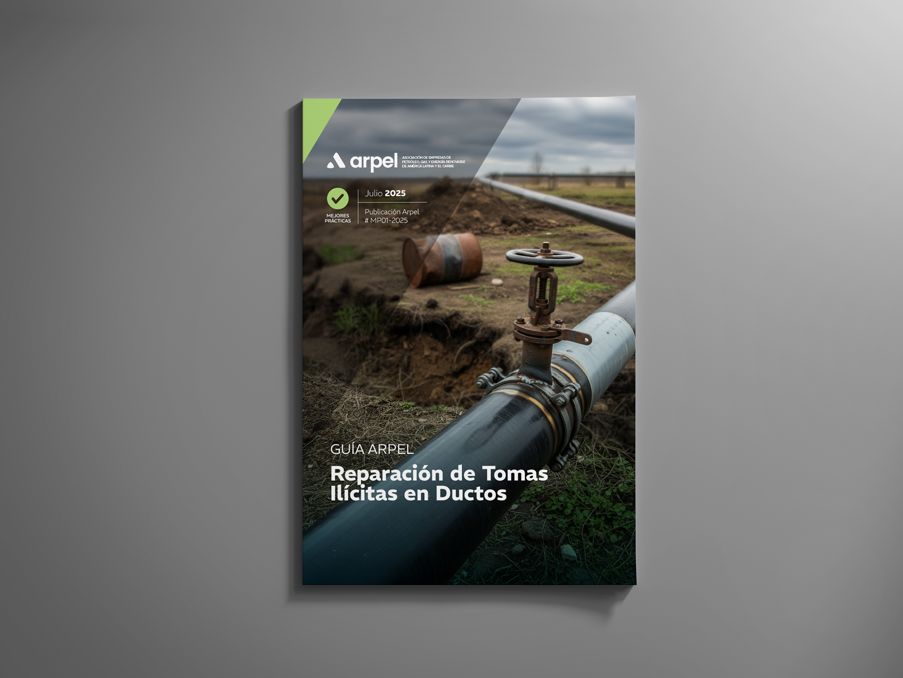 New Publication: Guide for the Repair of Illegal Taps