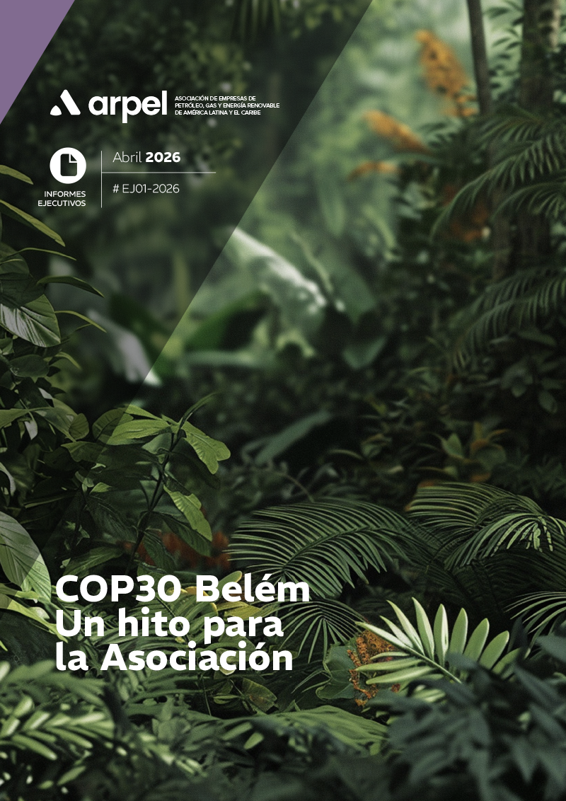Informe ARPEL para la alta gerencia sobre Cambio Climático - COP30