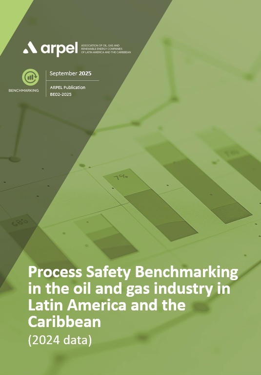 Arpel Process Safety Benchmarking Report (2024 data)