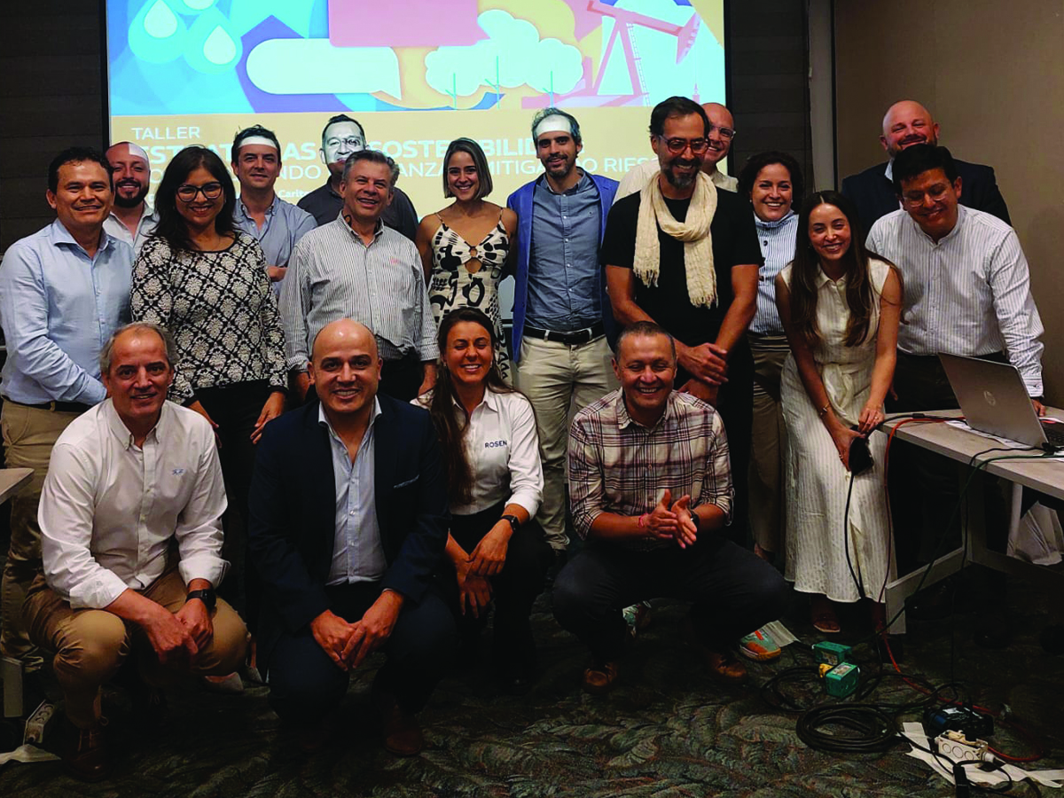 Greenwashing and the quality of Sustainability Reports at the Sustainable Management Committee Workshop in Colombia