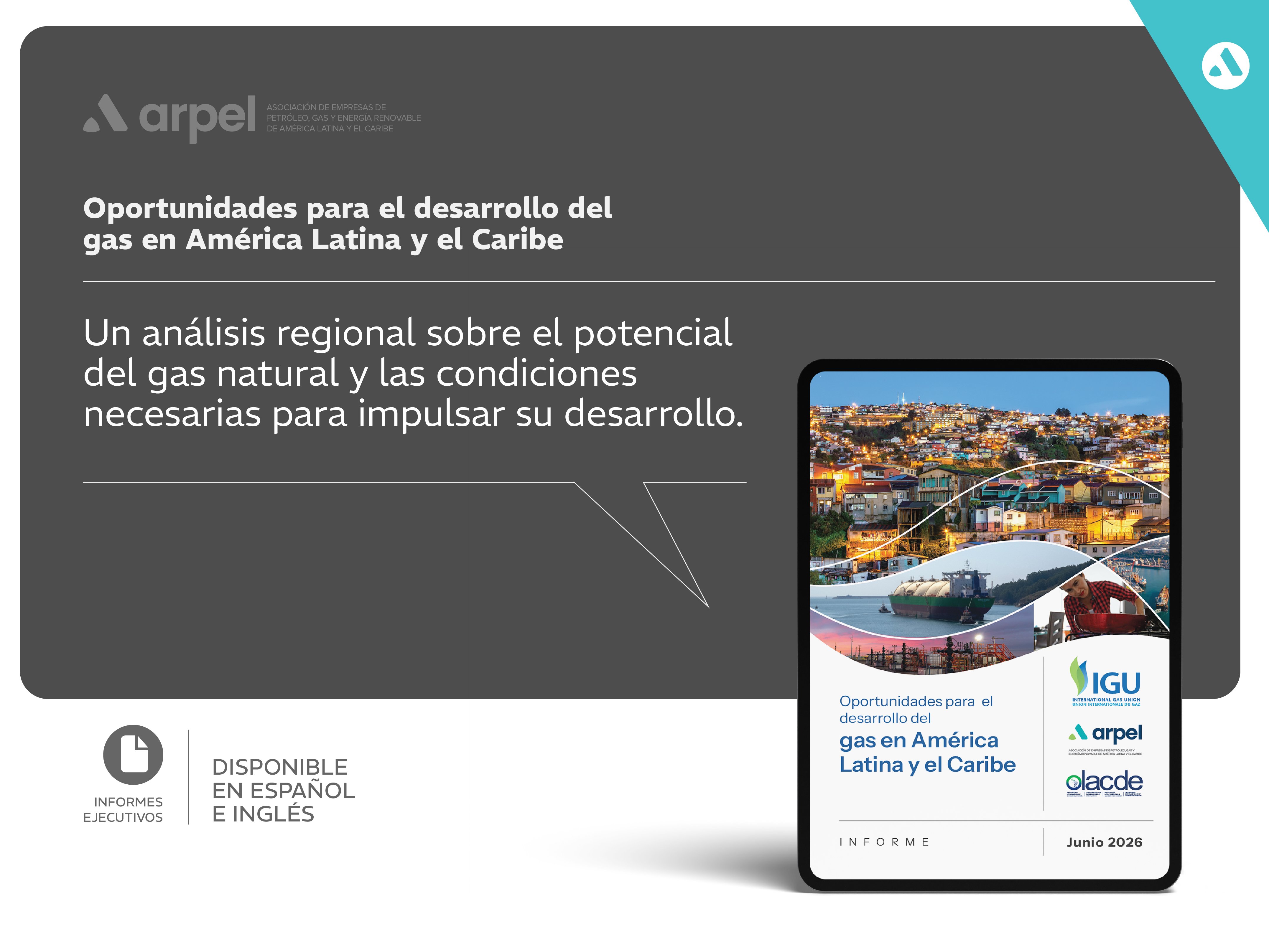 Oportunidades para el desarrollo del gas en América Latina y el Caribe: un informe de Arpel, IGU y OLACDE