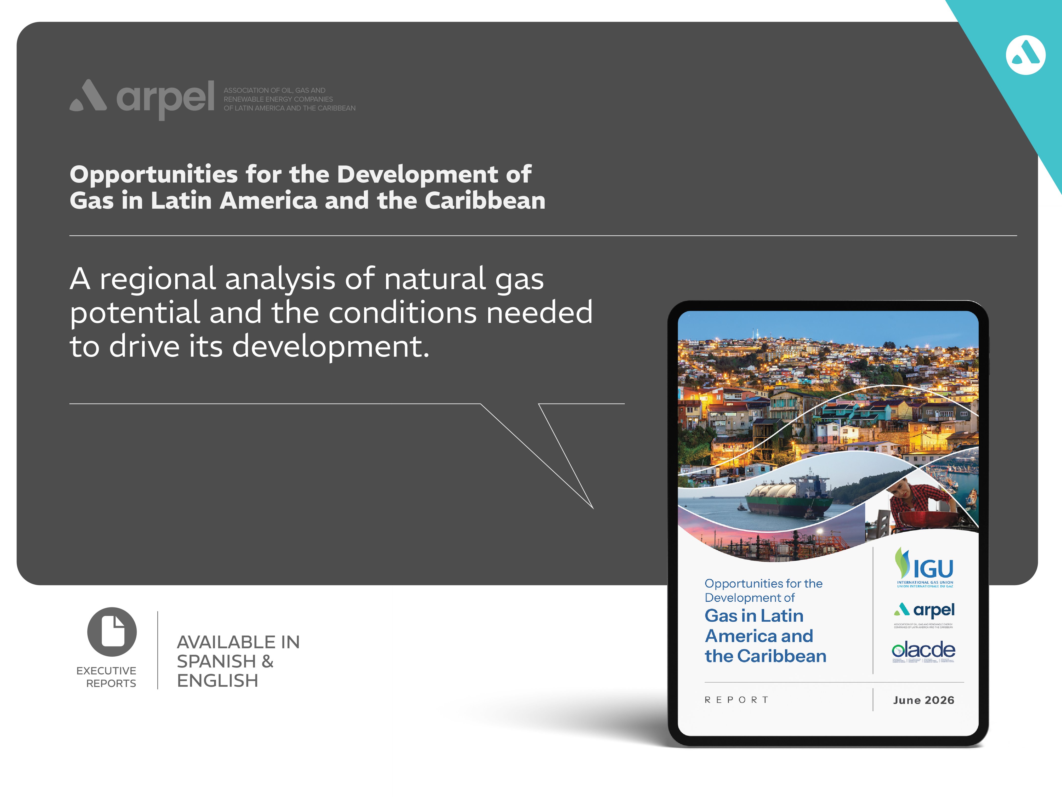 Opportunities for the development of gas in Latin America and the Caribbean: a report by ARPEL, IGU and OLACDE