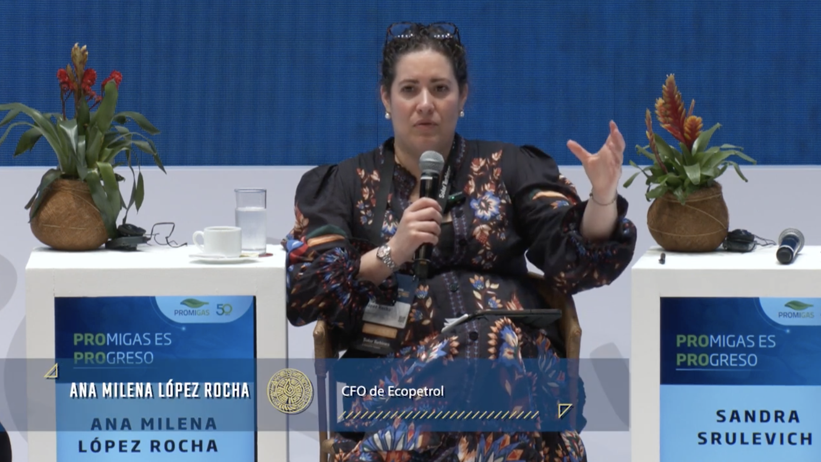 PANEL - Desafíos para el financiamiento