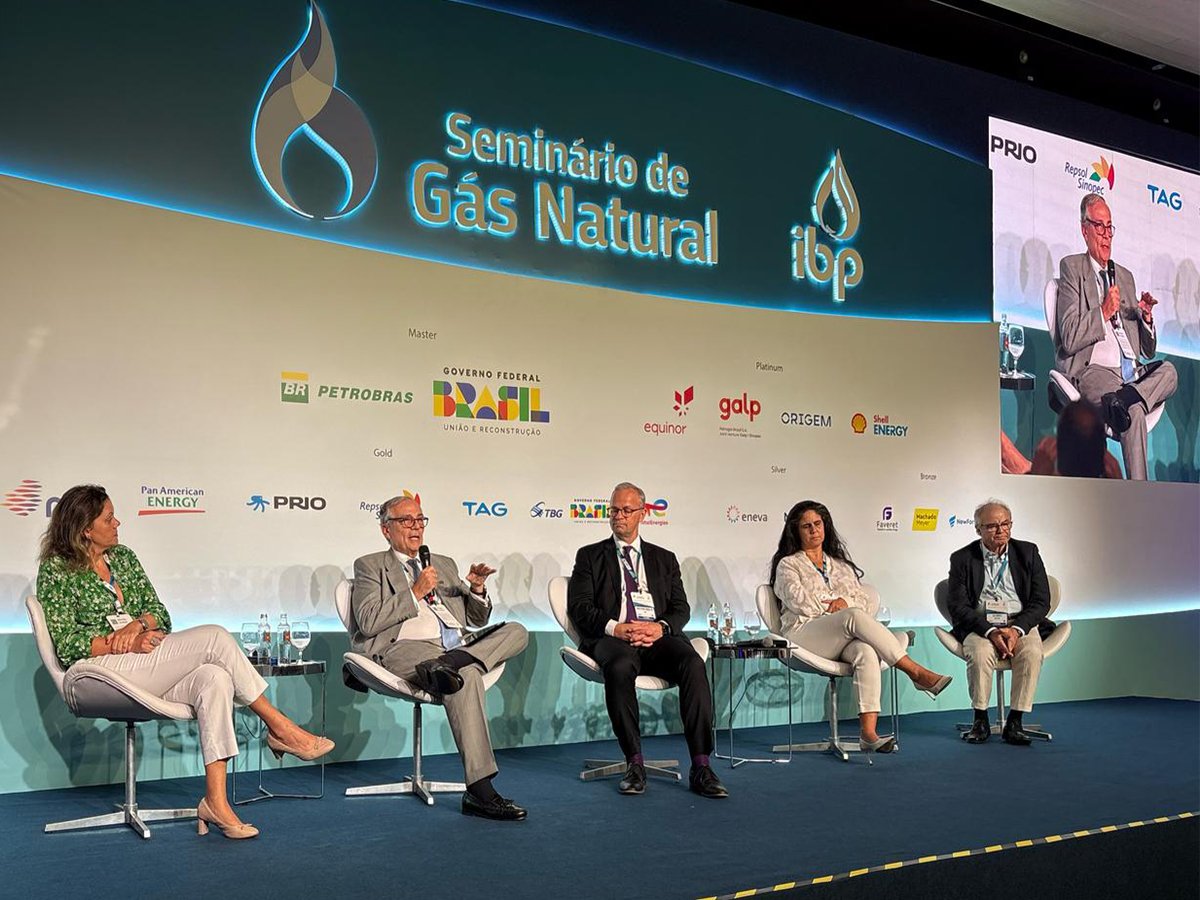 Arpel on panel on natural gas at seminar organized by the Brazilian Petroleum and Gas Institute